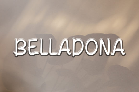 Belladona: A Cute Handwritten Font for Campaign Graphics