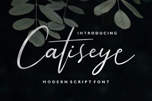 Catiseye: A Handwritten Font That Elevates Small Business Branding