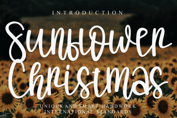 Sunflower Christmas Font: A Designer’s Branding Test